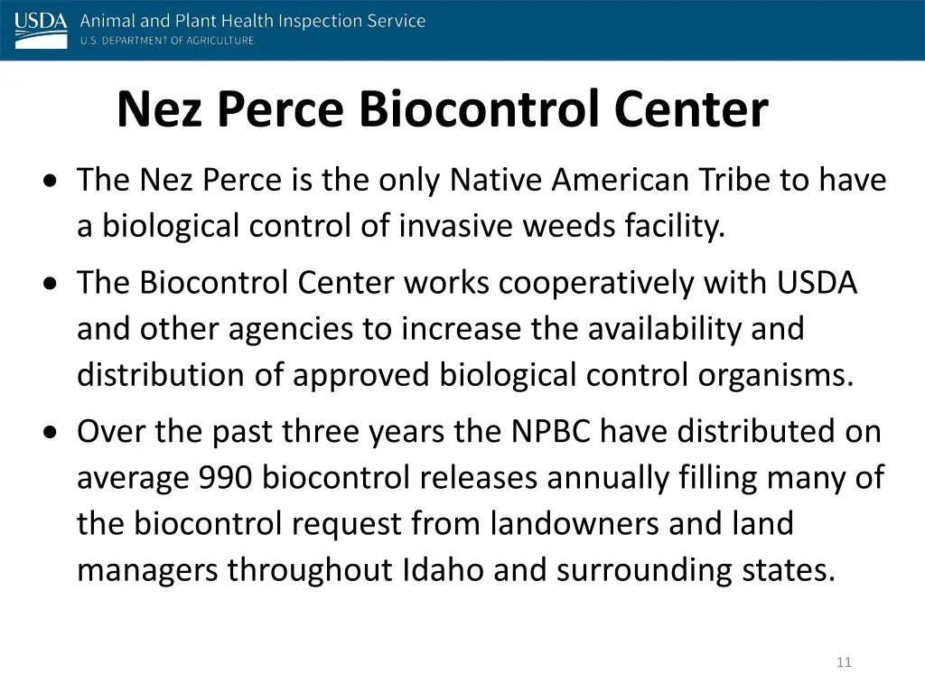 nez perce biocontrol center the nez perce