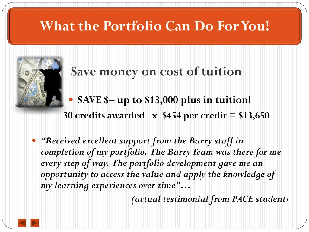 what the portfolio can do for you 1