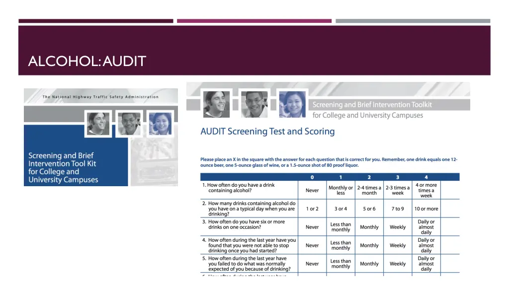 alcohol audit