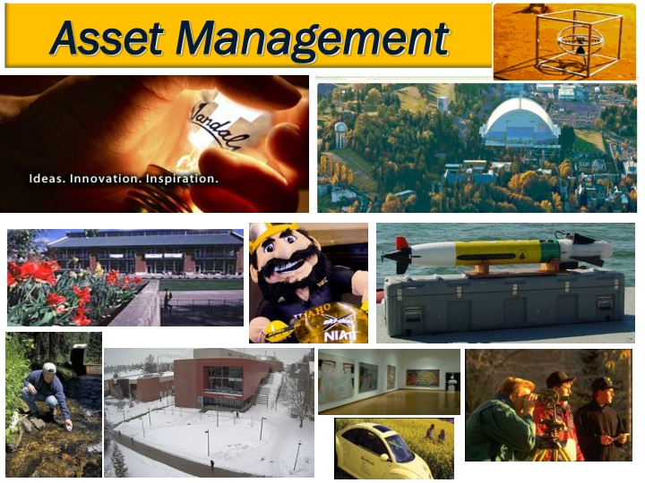 asset management asset management