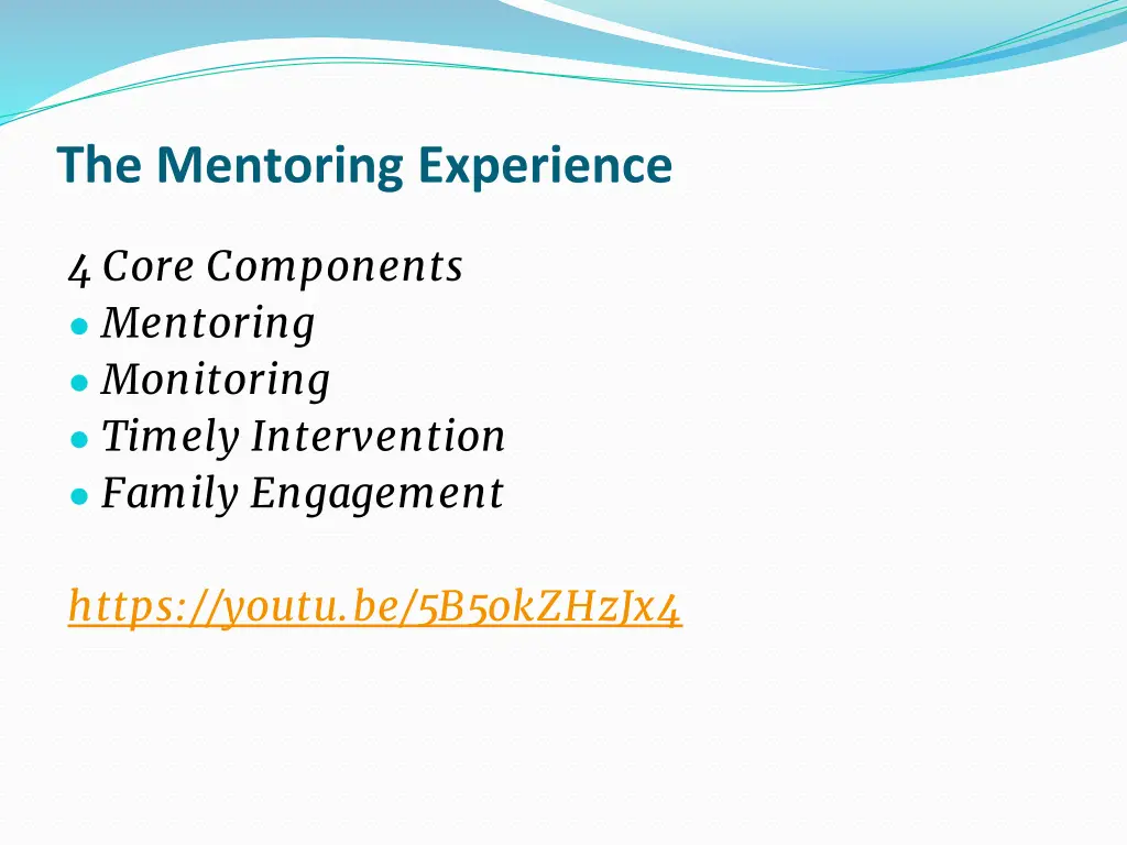 the mentoring experience