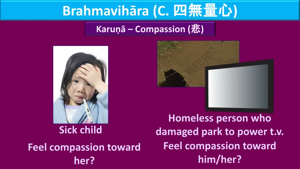 brahmavih ra c karu compassion