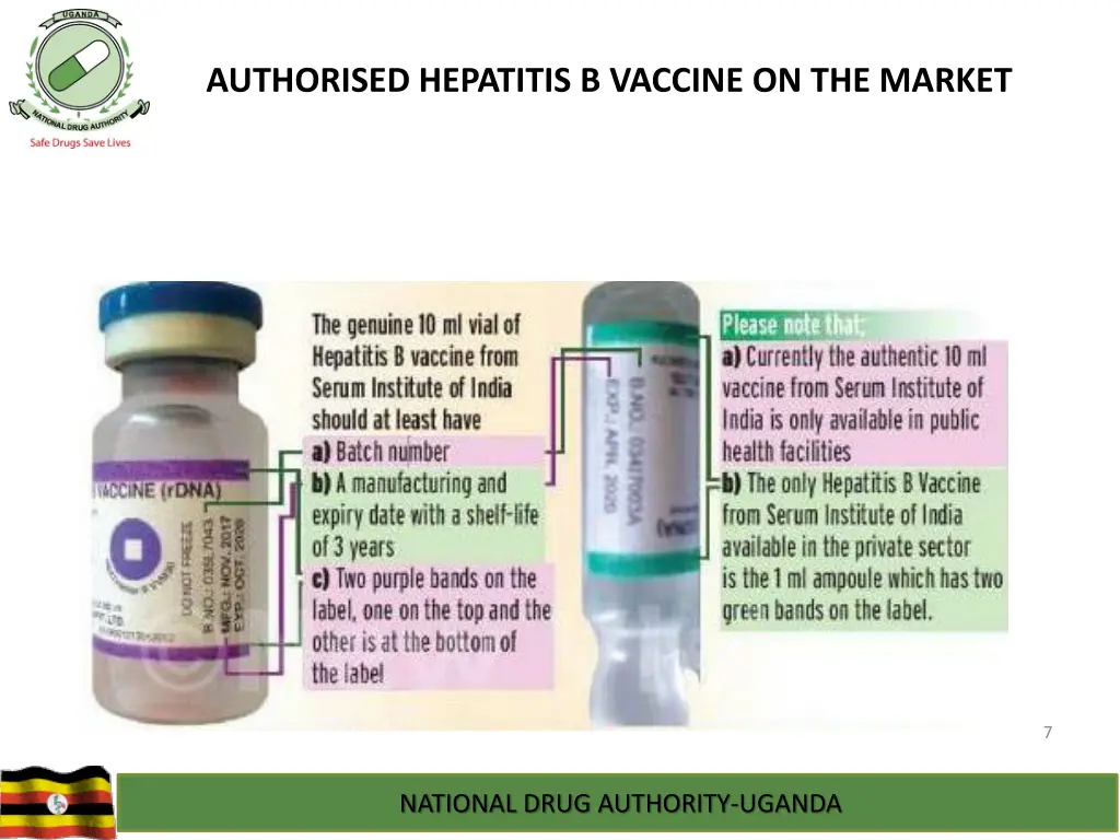 authorised hepatitis b vaccine on the market 1