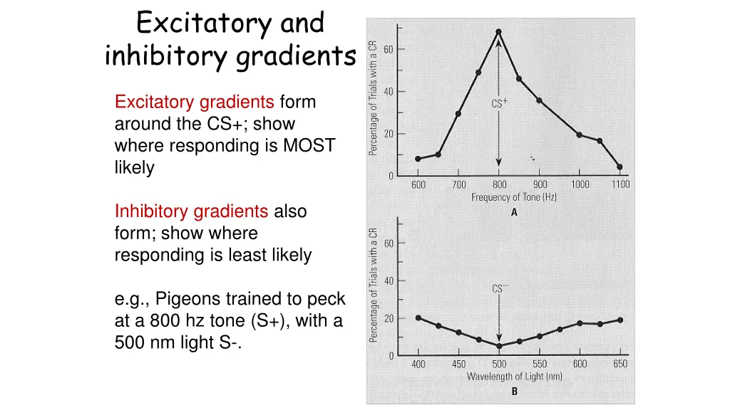 excitatory and inhibitory gradients