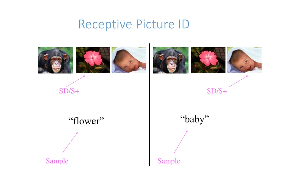 receptive picture id