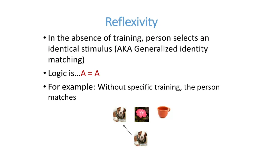 reflexivity reflexivity