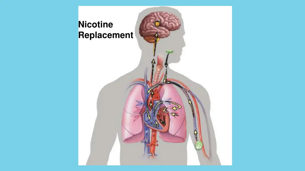 nicotine replacement 1