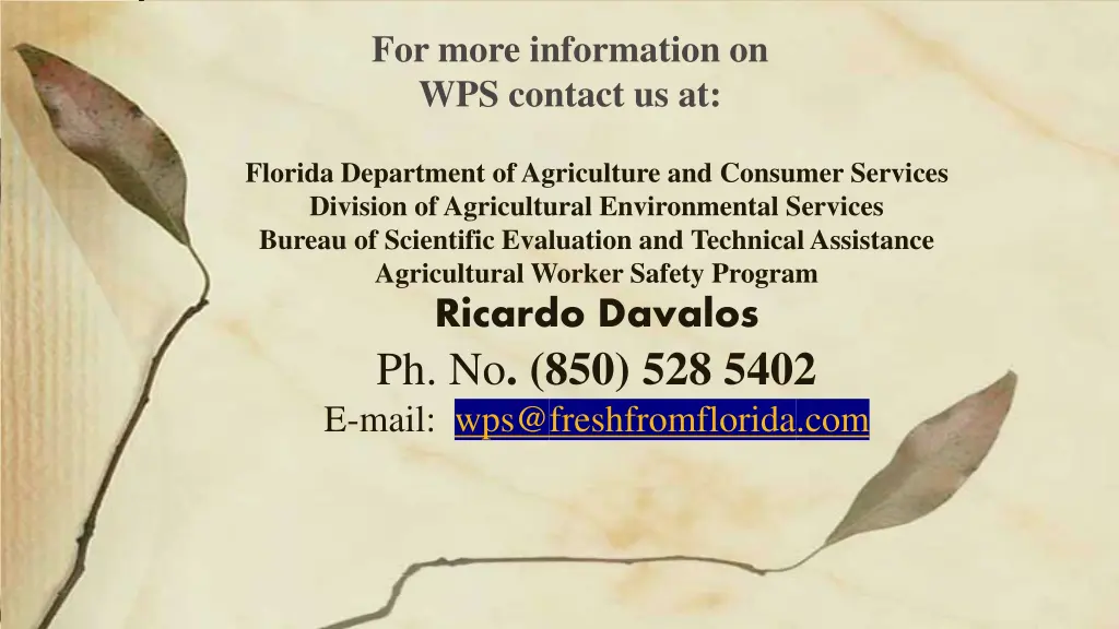 for more information on wps contact us at