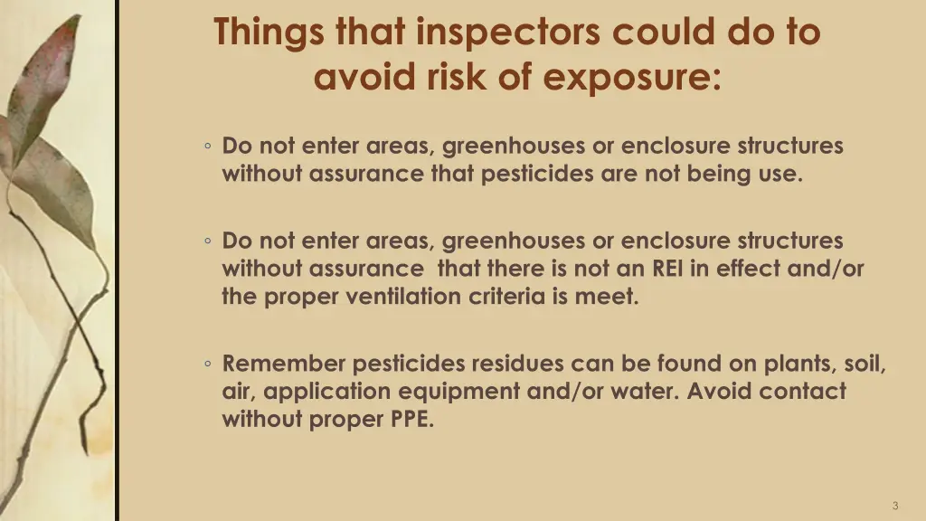 things that inspectors could do to avoid risk 1