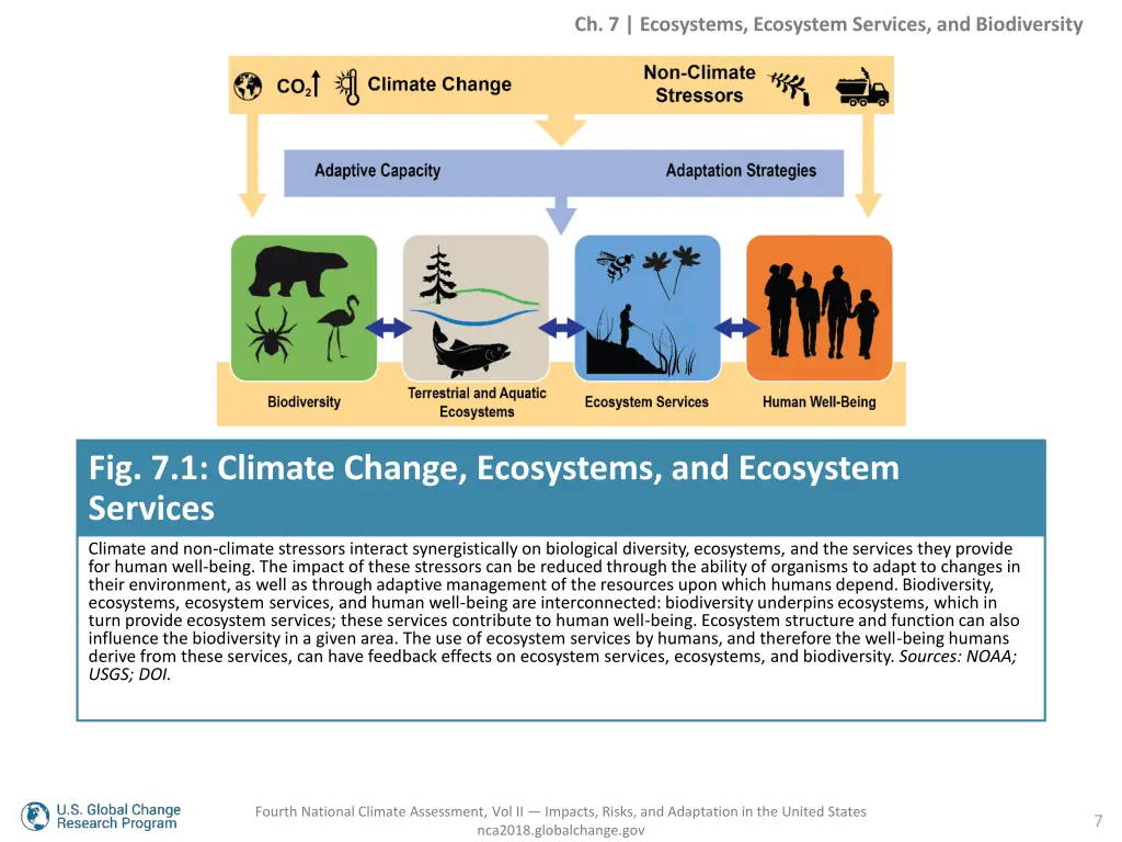 ch 7 ecosystems ecosystem services 5