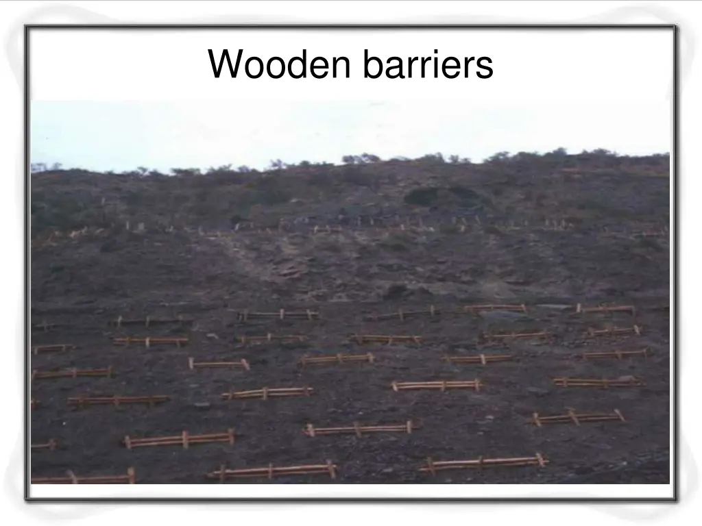 wooden barriers