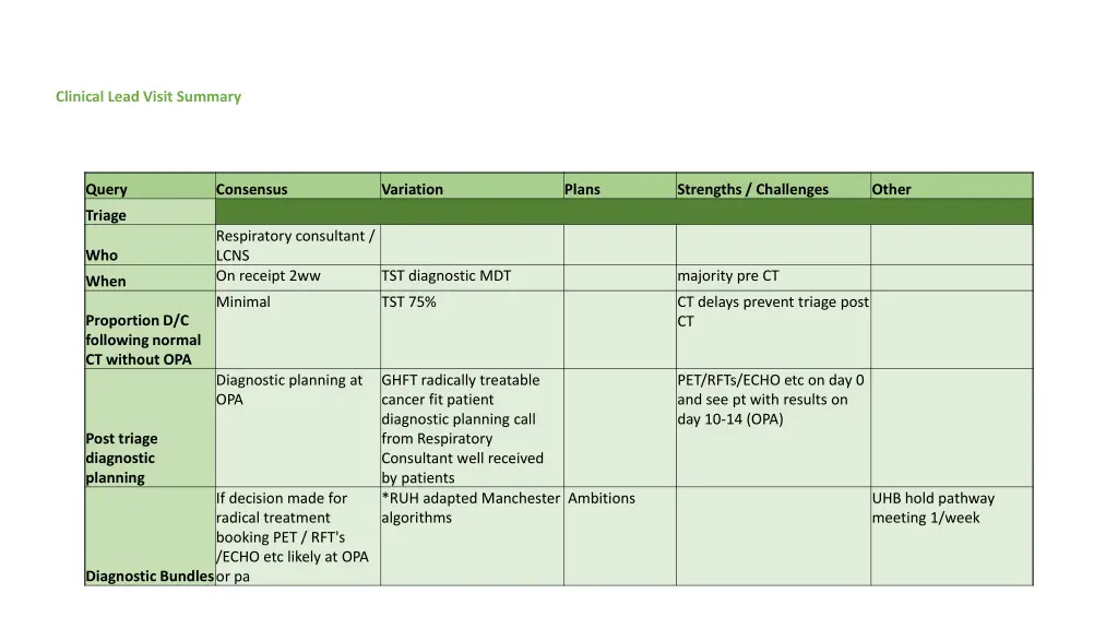 clinical lead visit summary 1