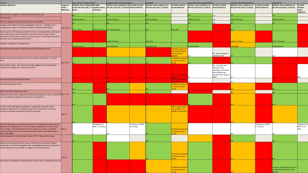 provider pathway milestone