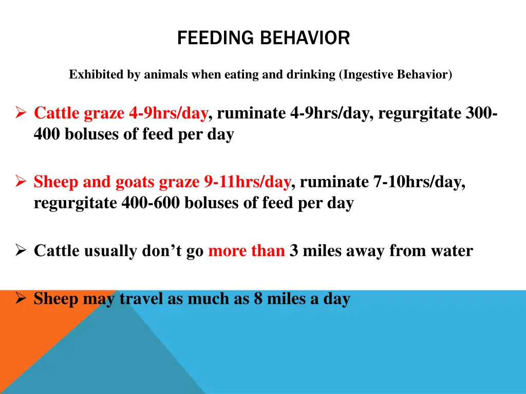 feeding behavior