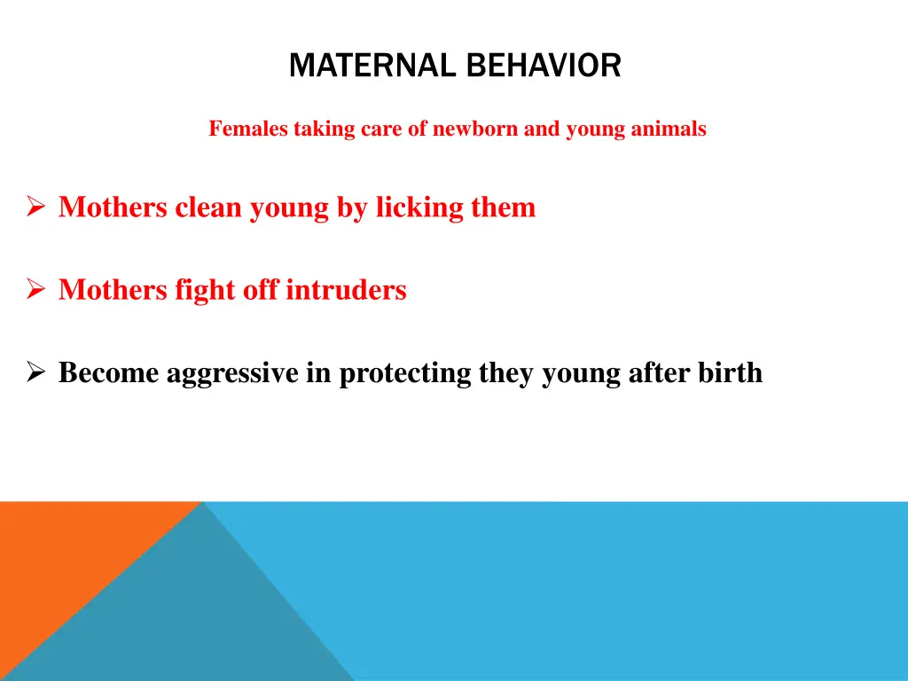 maternal behavior