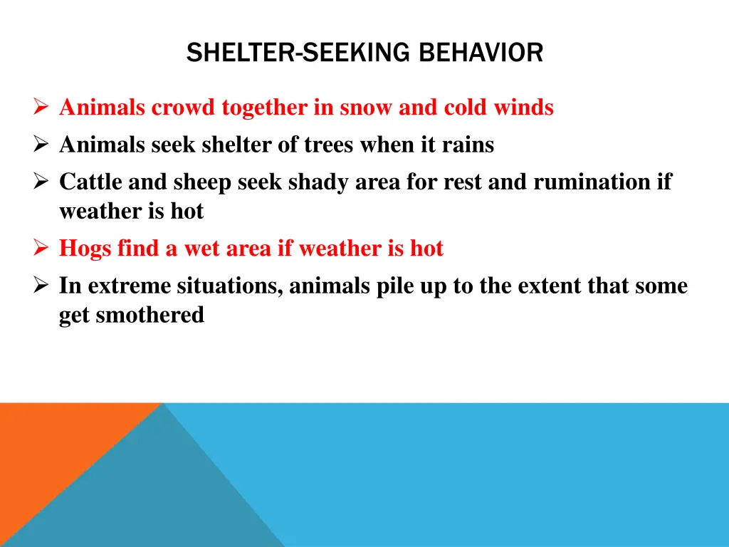 shelter seeking behavior