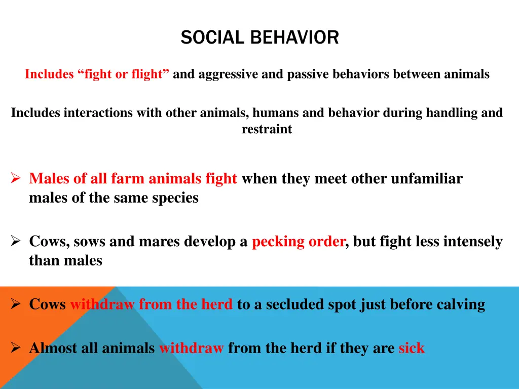 social behavior