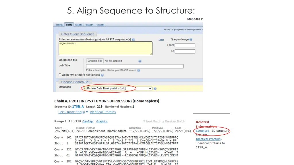 5 align sequence to structure