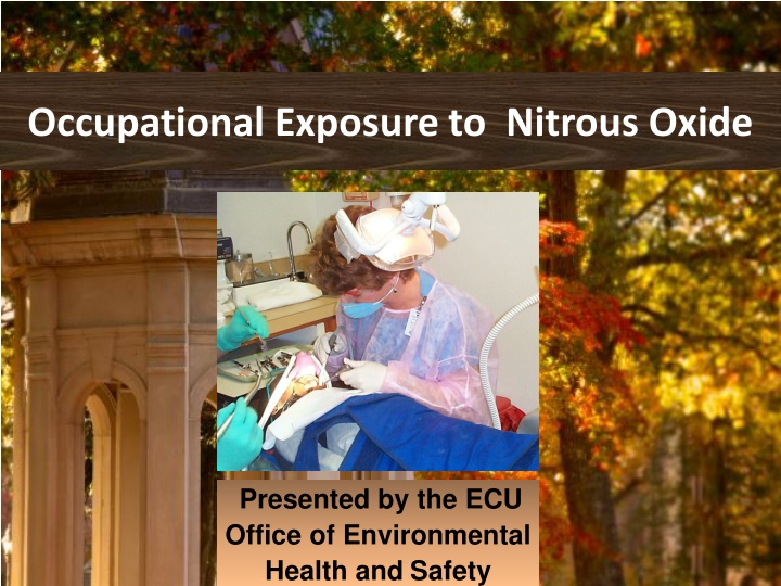 occupational exposure to nitrous oxide