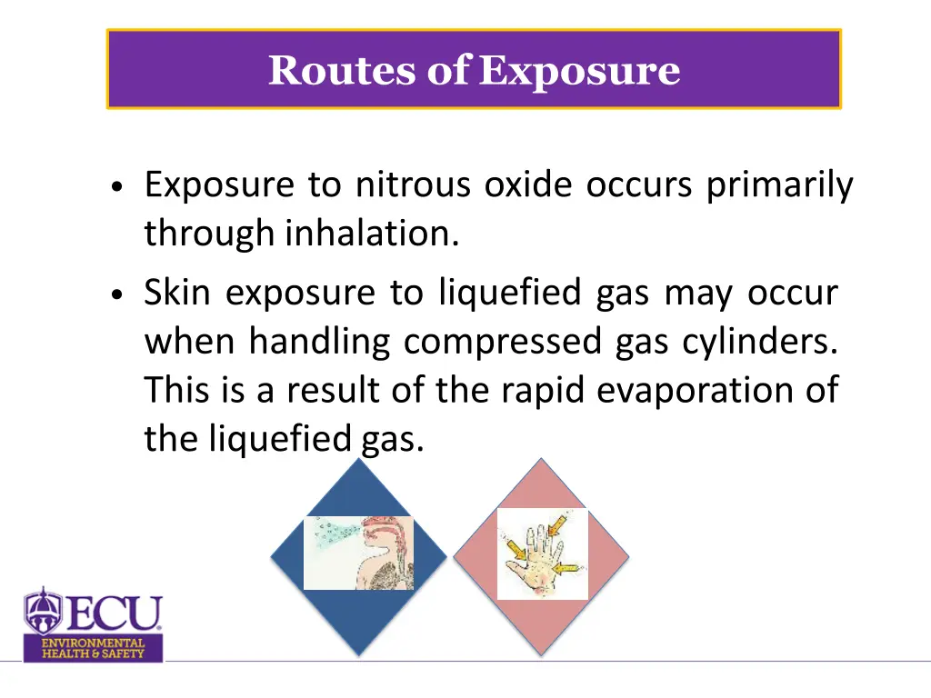 routes of exposure