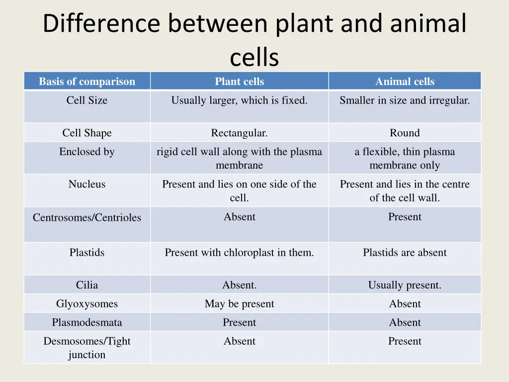 difference between plant and animal cells basis