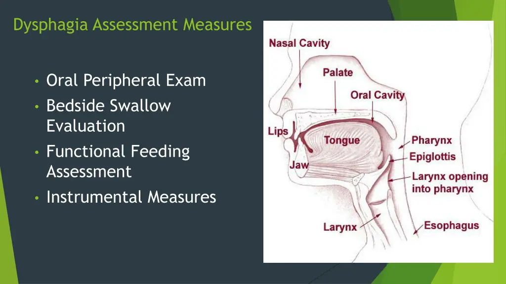 dysphagia assessment measures