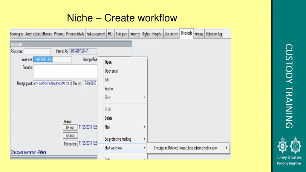 niche create workflow