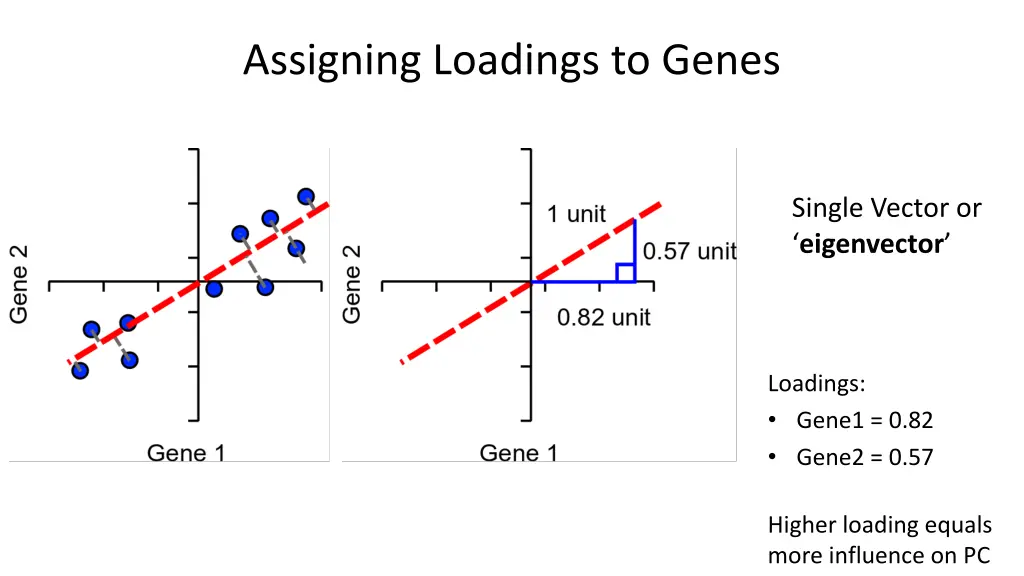 assigning loadings to genes