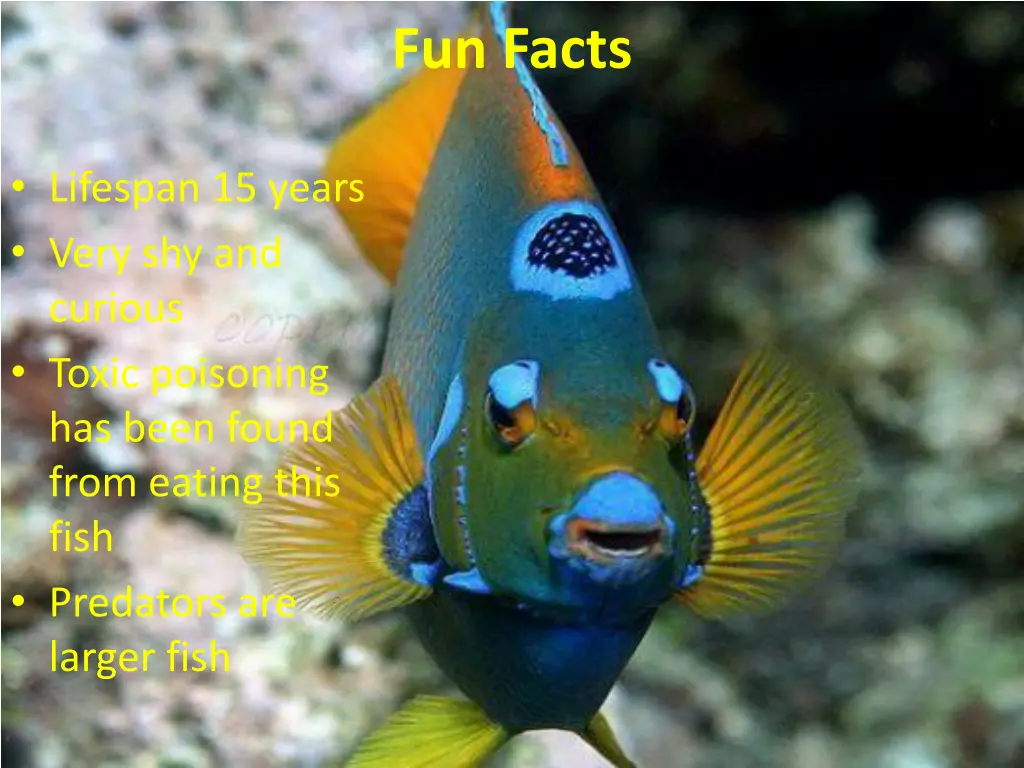 fun facts