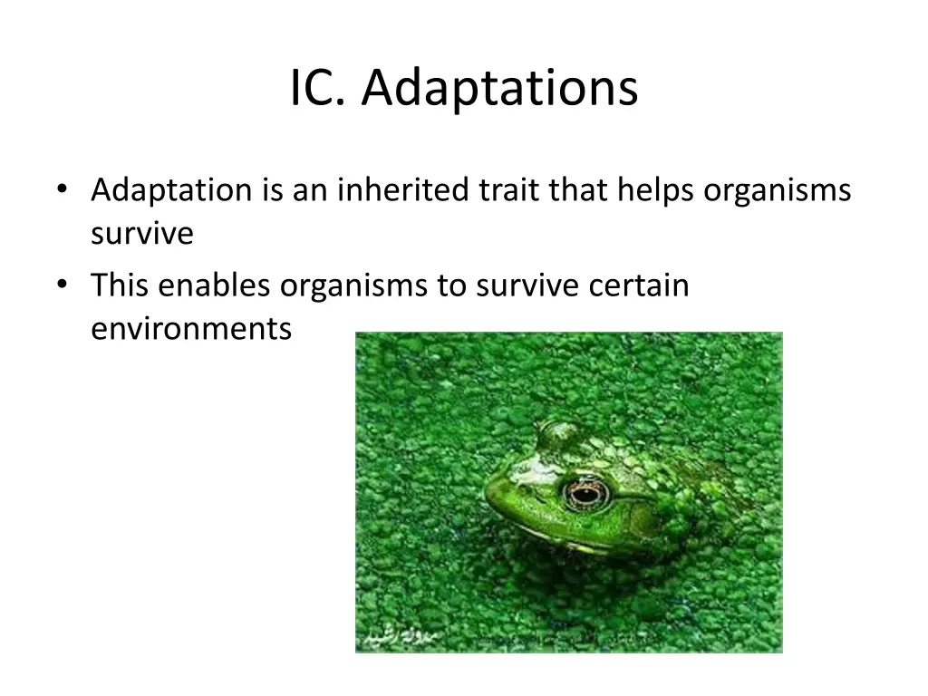 ic adaptations