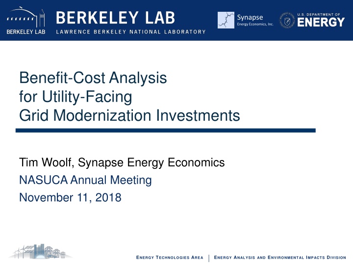 synapse energy economics inc