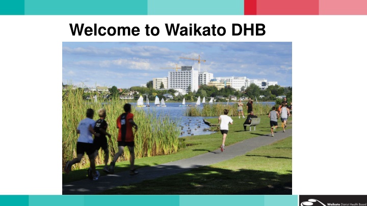 welcome to waikato dhb