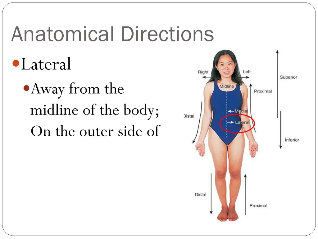 anatomical directions lateral away from