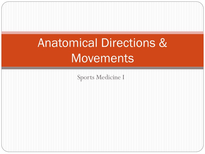 anatomical directions movements