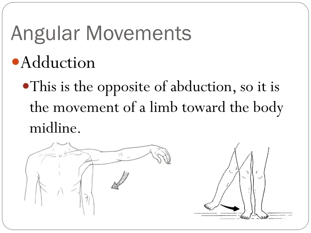 angular movements adduction this is the opposite