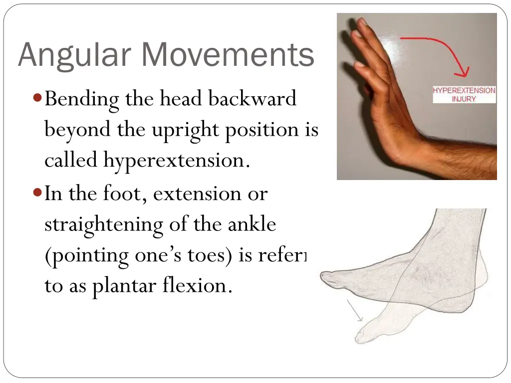 angular movements bending the head backward