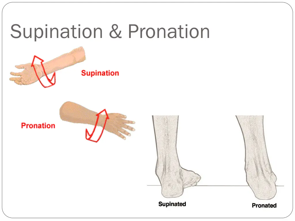 supination pronation