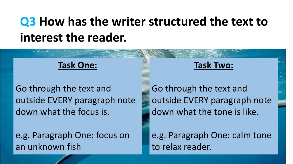 q3 how has the writer structured the text 1