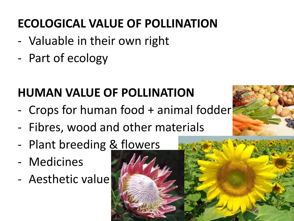 ecological value of pollination valuable in their