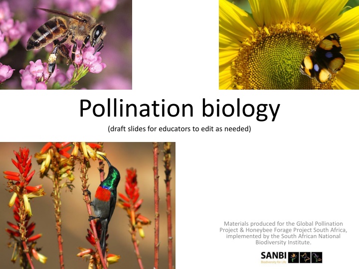 pollination biology draft slides for educators