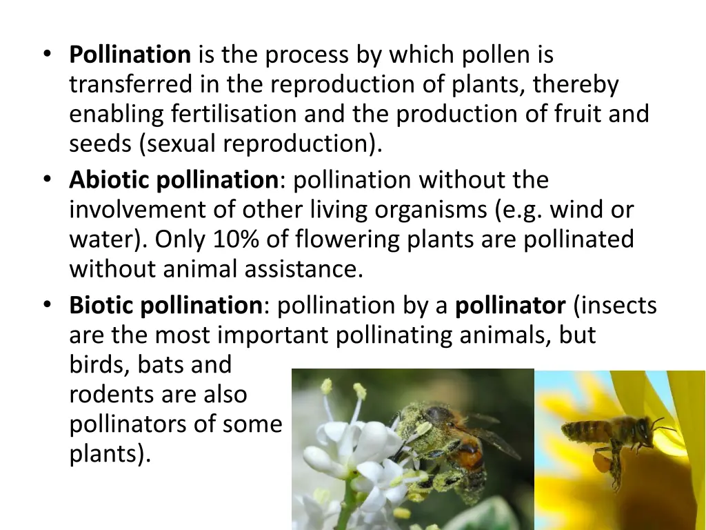 pollination is the process by which pollen