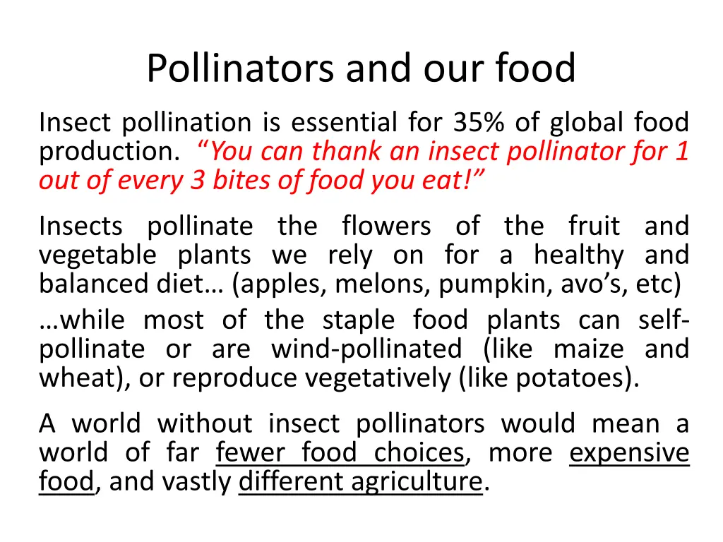 pollinators and our food