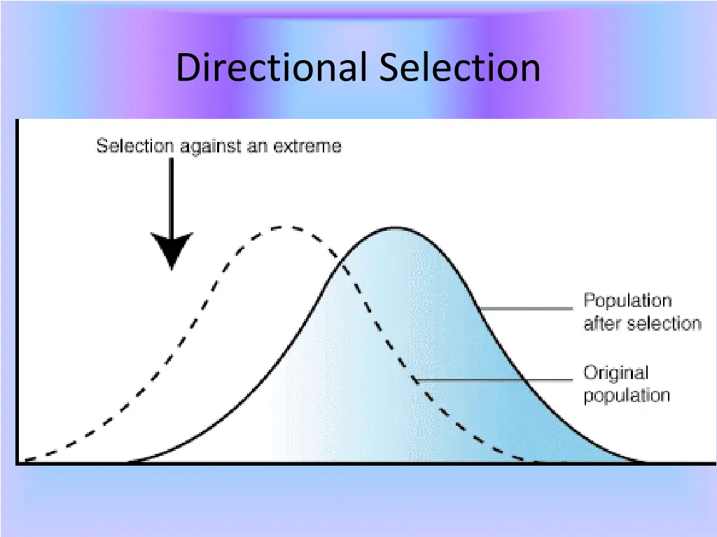 directional selection 1