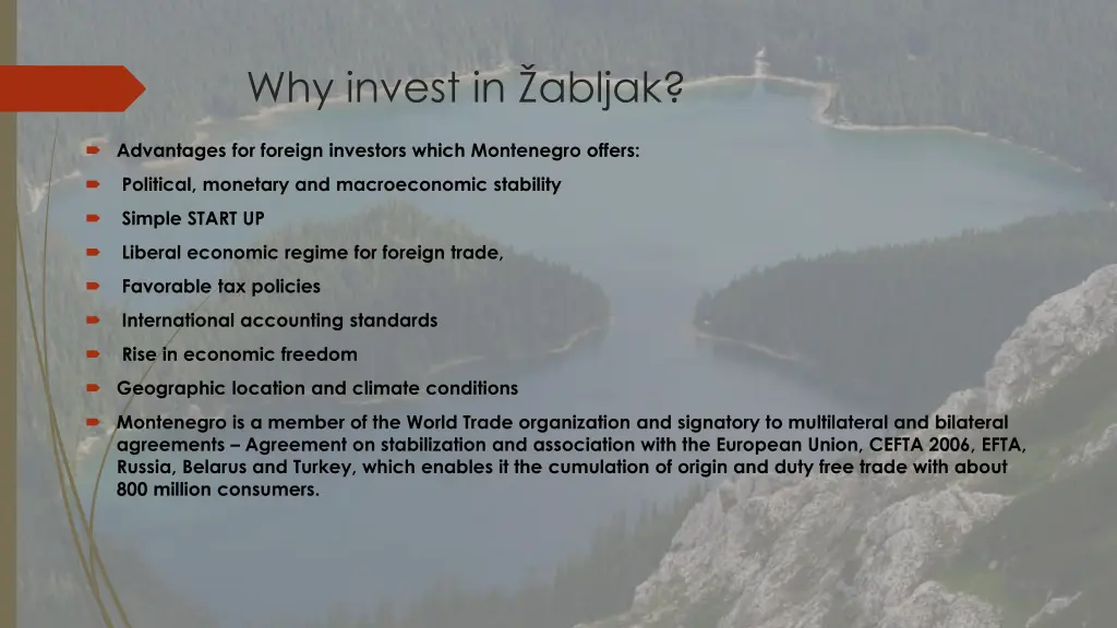 why invest in abljak 1