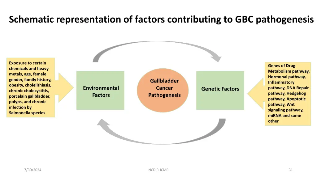 schematic representation of factors contributing