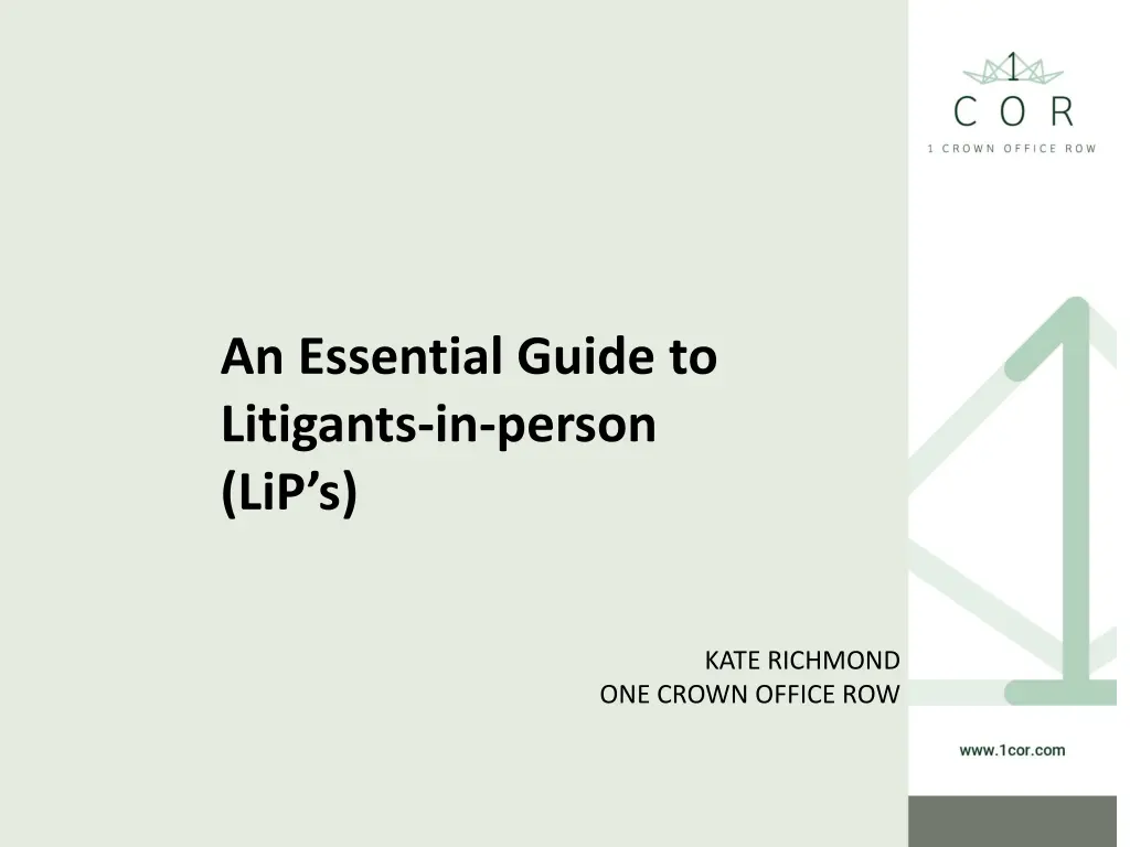 an essential guide to litigants in person lip s