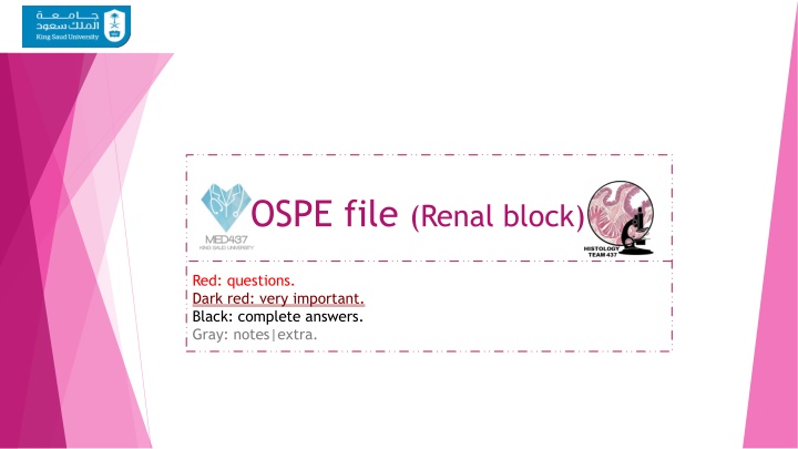 ospe file renal block