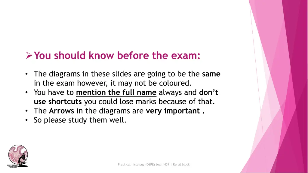 you should know before the exam