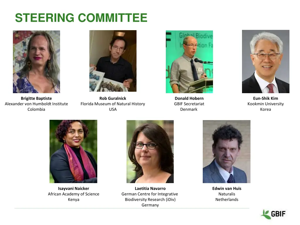 steering committee