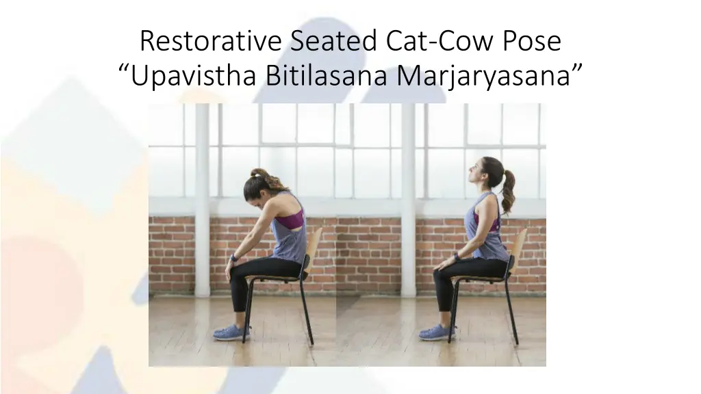 restorative seated cat cow pose upavistha